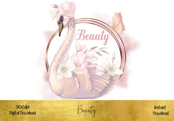 Beautiful Swan Illustrations