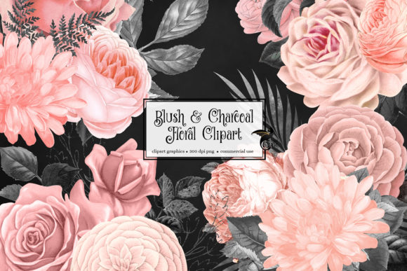 Blush and Charcoal Floral Clipart & Illustrations