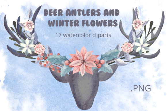 Deer Antlers and Winter Flowers Illustrations