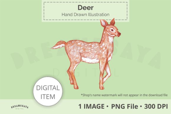 Hand Drawn Deer Png Clip Art and Illustrations