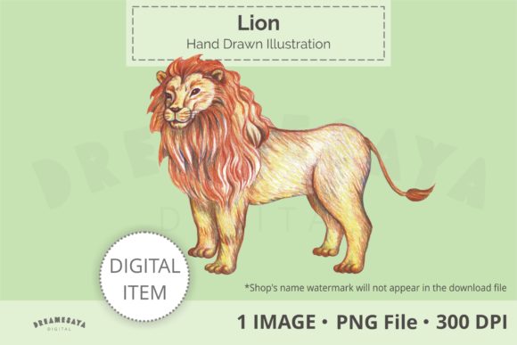 Hand Drawn Lion Png Clip Art Illustrations