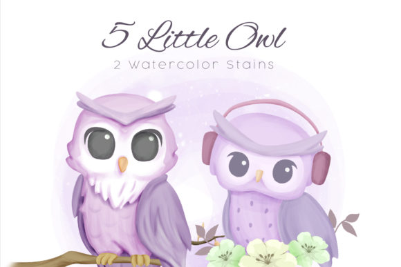 Little Owl Clipart and Illustrations