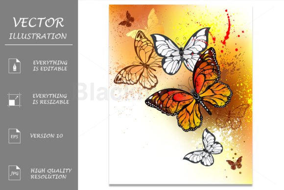 Summer Butterflies Monarchs Illustrations
