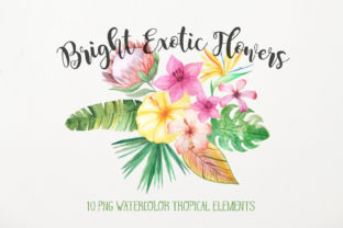 Watercolor Exotic Flowers Mini Set and Illustrations