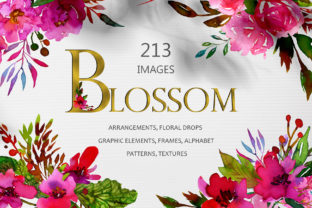 Watercolor Floral Collection and Illustrations