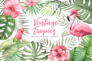 Watercolor Vintage Tropical Set Illustrations