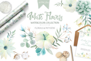 Watercolor White Flowers Set for Illustrations