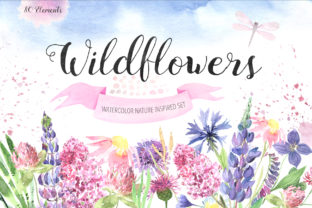 Watercolor Wildflowers Set for Illustrations