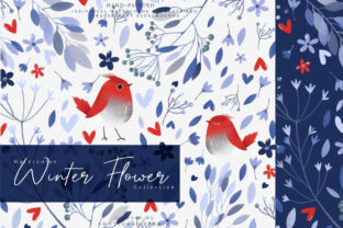 Watercolor Winter Flower Collection and Illustrations