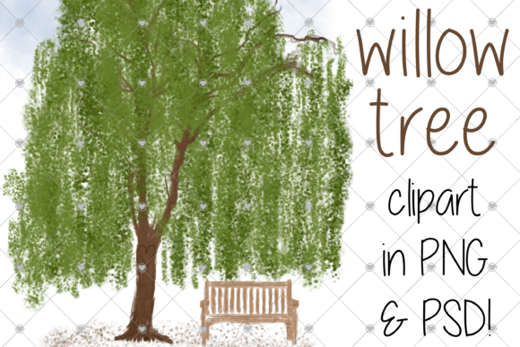 Willow Tree Illustrations