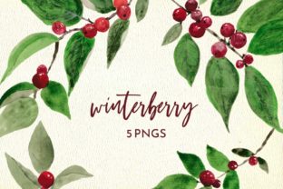 Winter Berry Watercolor Illustrations
