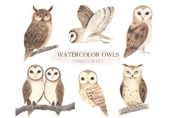 Woodland Owl Clipart & Illustrations